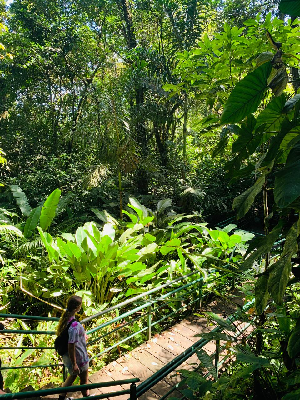 Tortuguero WhatsApp Image 2025-12-06 at 11.40.49 AM (3)